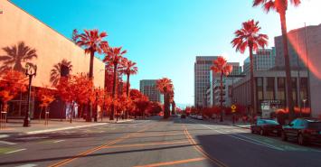 Street with palm trees