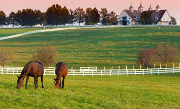 Kentucky Horse Farm