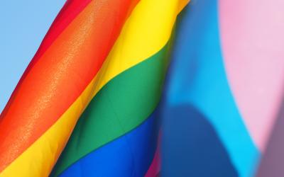 Rainbow flag and transexual flag