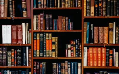 bookcase of books