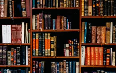 bookcase of books